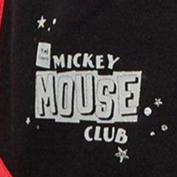 ❤️NWT VINTAGE TORRID SHORTS - DISNEY MOUSEKETEER - PULL ON FLEECE - PLUS SIZE - Picture 2 of 15